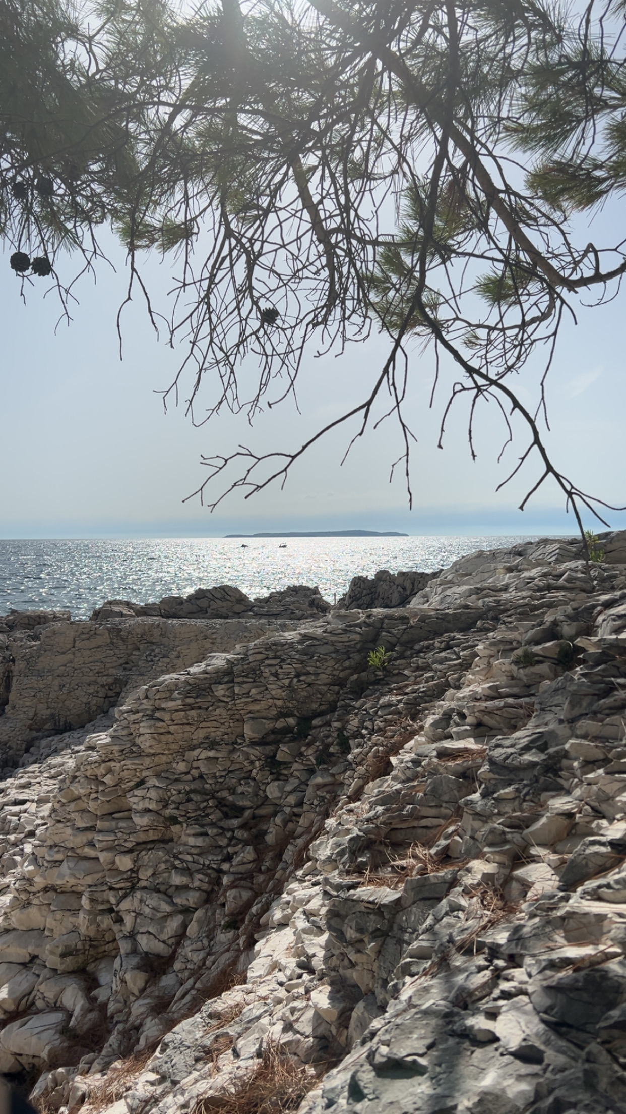 Meer
